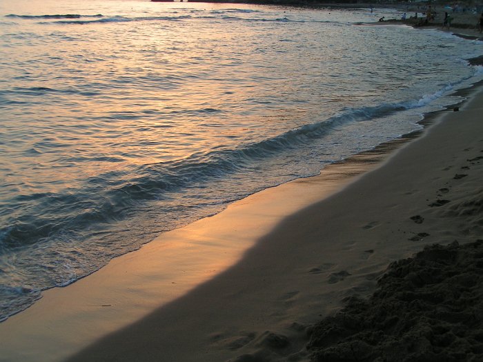 PICT5409