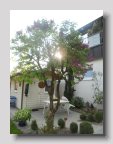 DSCN0987